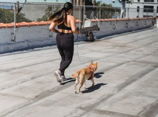 Running Every Day